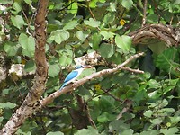 IMG_2872