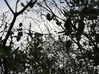 IMG_2922