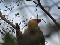 IMG_2933