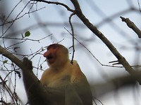 IMG_2934