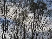 IMG_2956