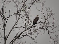 IMG_2977