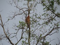 IMG_2985