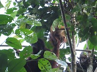IMG_3077