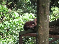IMG_3085