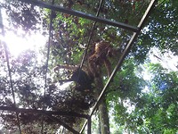 IMG_3099