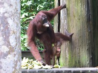 IMG_3130