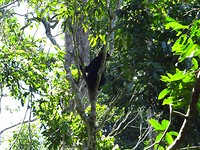 IMG_3272