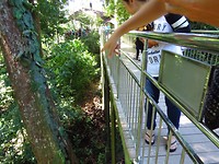 IMG_3292