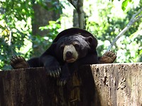 IMG_3394