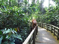 IMG_3414