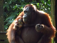 IMG_3639