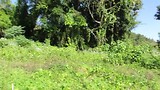 wandeling naar de waterval in Hsipaw