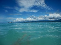 DSCN0431
