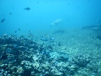 DSCN0470