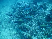 DSCN0559