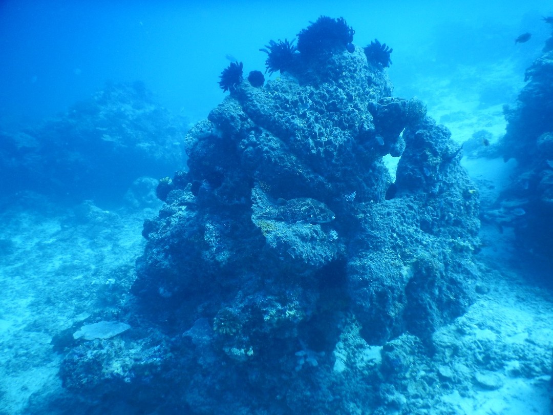 DSCN0594