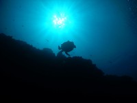 DSCN0629