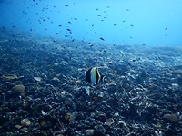 DSCN0651