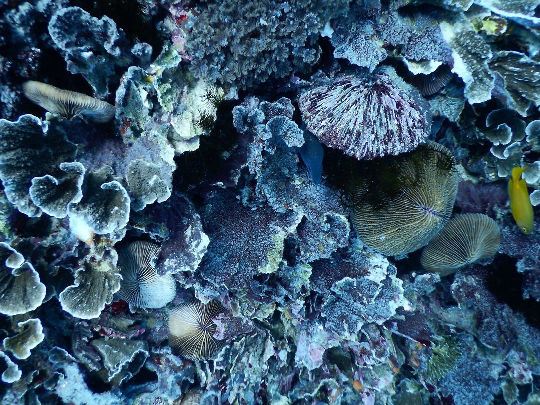 DSCN0702