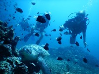 DSCN0738