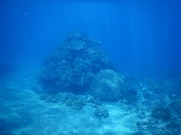 DSCN0906