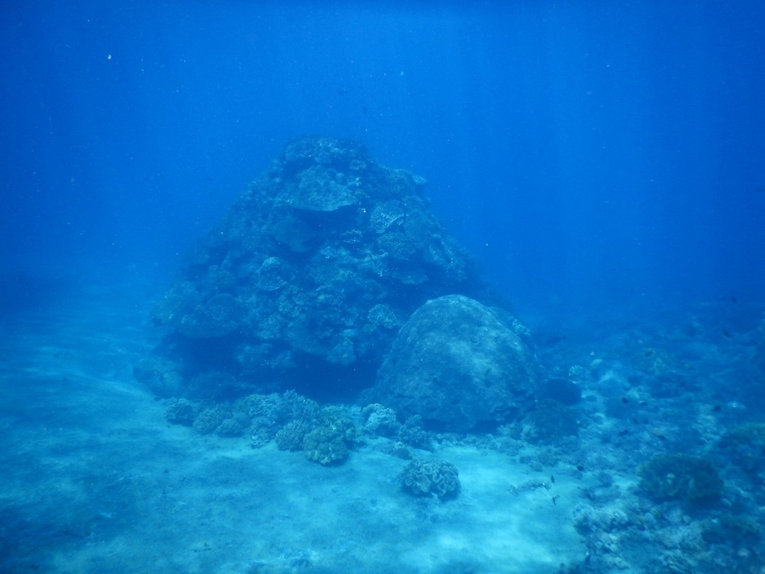 DSCN0906