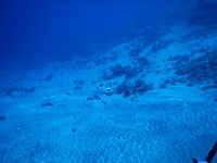 DSCN0916