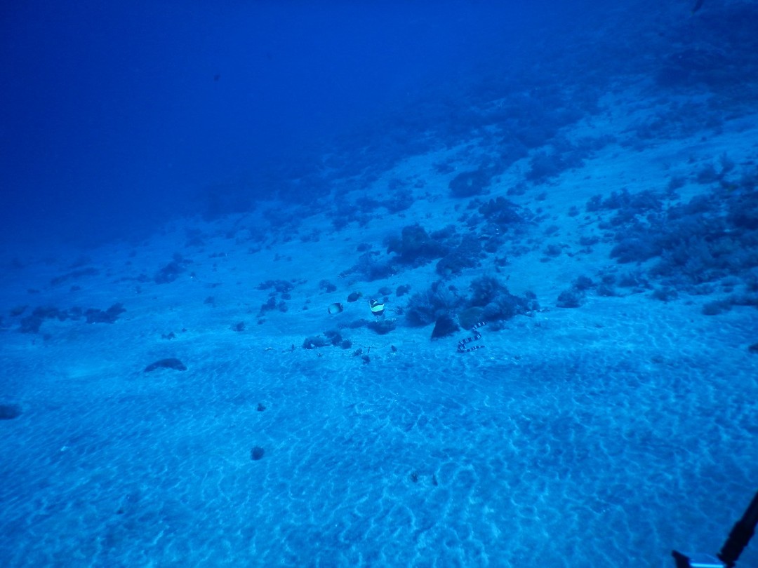 DSCN0916