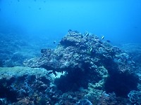 DSCN1281