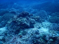 DSCN1355