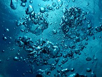 DSCN1367