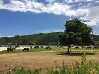 IMG_2169