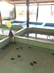 IMG_2227