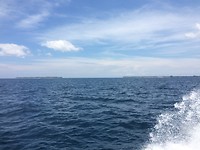 IMG_2261
