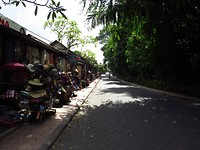 IMG_3720