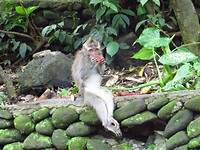 IMG_3745