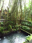 IMG_3812