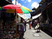 IMG_3920