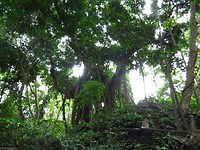 IMG_3749