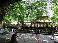 IMG_3865