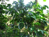 IMG_3961