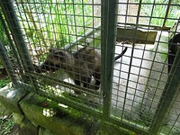 IMG_3962