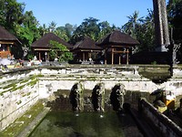 IMG_3983