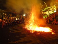 IMG_4130