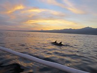IMG_4177