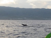 IMG_4200