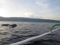 IMG_4204