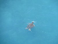 IMG_4261