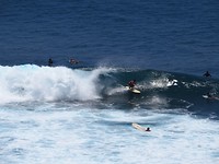 IMG_4282